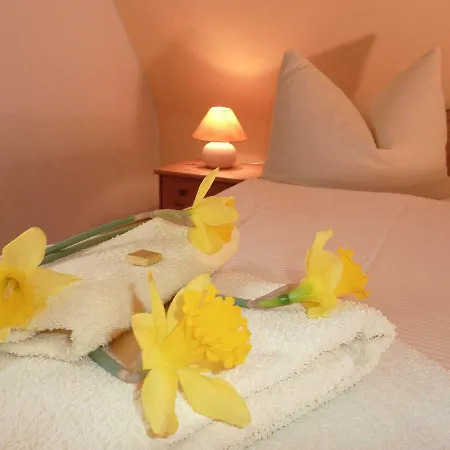 Vendégház Falkenstein-huetten 3*